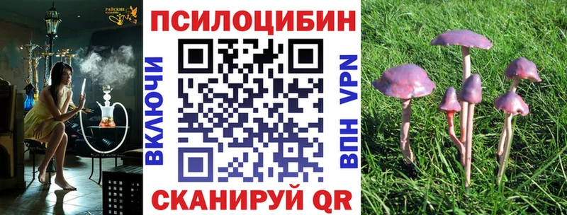 Псилоцибиновые грибы MAGIC MUSHROOMS  Анжеро-Судженск 